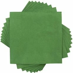 Top 10 ๐ฏ Disposable Napkins JAM Paper Beverage Napkin, 2-ply, Green, 40 Napkins/Pack (255628199) ๐