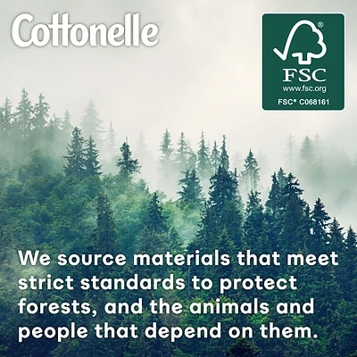 Best Pirce ๐ Bathroom Tissue Cottonelle Ultra CleanCare 1-Ply Standard Toilet Paper, White, 312 Sheets/Roll, 24 Mega Rolls/Pack (53757) ๐ 8 Best Pirce ๐ Bathroom Tissue Cottonelle Ultra CleanCare 1-Ply Standard Toilet Paper, White, 312 Sheets/Roll, 24 Mega Rolls/Pack (53757) ๐ - Image 6