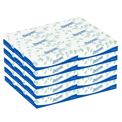 Budget ⭐ 2-Ply Facial Tissue Surpass Standard Facial Tissue, 2-Ply, 100 Sheets/Box, 30 Boxes/Pack (21340) ⭐ 5 Budget ⭐ 2-Ply Facial Tissue Surpass Standard Facial Tissue, 2-Ply, 100 Sheets/Box, 30 Boxes/Pack (21340) ⭐ - Image 3