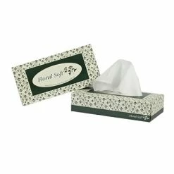 Budget 😉 Floral Soft Facial Tissue, 2-ply, 100 Tissues/Box, 30 Boxes/Pack (F100) 🌟