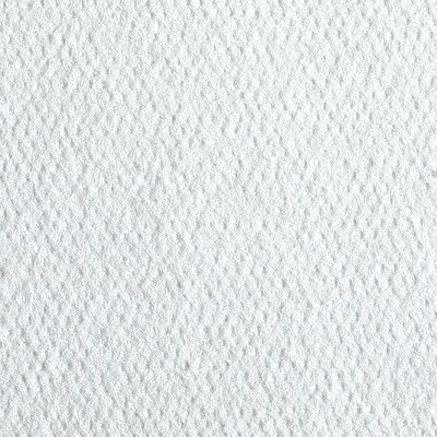 Deals ๐ Kitchen Roll Paper Towels Pacific Blue Select Patient Care Single Fold Paper Towels, 1-ply, 55 Sheets/Pack, 24 Packs/Carton (29506) ๐ 8 Deals ๐ Kitchen Roll Paper Towels Pacific Blue Select Patient Care Single Fold Paper Towels, 1-ply, 55 Sheets/Pack, 24 Packs/Carton (29506) ๐ - Image 6