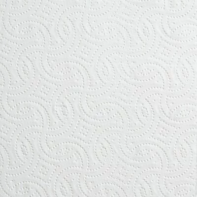 Wholesale ⭐ Kitchen Roll Paper Towels Coastwide Professional Jumbo Kitchen Rolls Paper Towel, 2-Ply, White, 250 Sheets/Roll, 12 Rolls/Carton (CW21806) 🎁 5 Wholesale ⭐ Kitchen Roll Paper Towels Coastwide Professional Jumbo Kitchen Rolls Paper Towel, 2-Ply, White, 250 Sheets/Roll, 12 Rolls/Carton (CW21806) 🎁 - Image 3