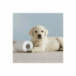 Best Pirce 🔥 1-Ply Toilet Paper Cottonelle CleanCare 1-Ply Standard Toilet Paper, White, 150 Sheets/Roll, 48 Rolls/Pack (12456) 🤩 -Janitorial Paper Sales unnamed file 564