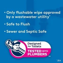 Cheapest 👏 Bathroom Tissue Cottonelle Flushable Wet Wipes, White, 42 Wipes (36734) 👍 -Janitorial Paper Sales unnamed file 765